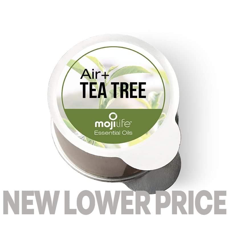 Aire de árbol de té + cápsula de aceite esencial 