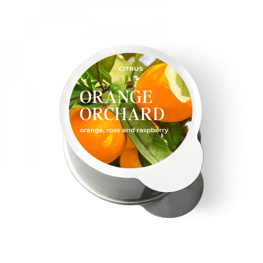 Orange Orchard